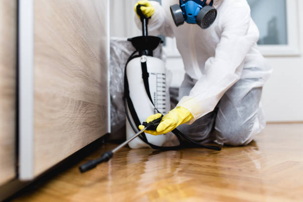 Pest Control Cost in Redwood City, CA