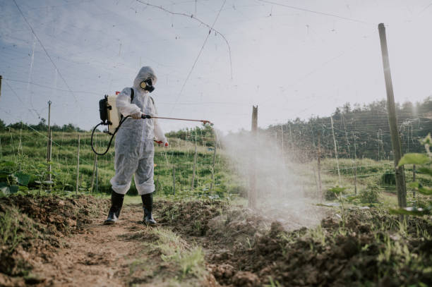 Best Mosquito Control Services  in Redwood City, CA