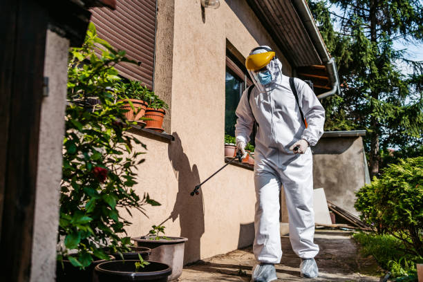 Best Pest Inspection Near Me  in Redwood City, CA