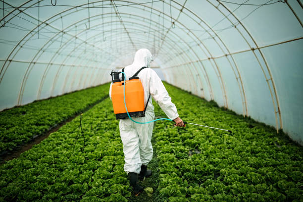 Best Affordable Pest Control Services  in Redwood City, CA