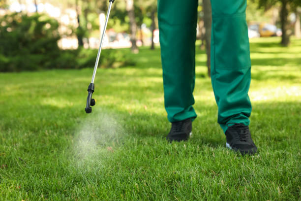 Best Rodent Control Near Me  in Redwood City, CA