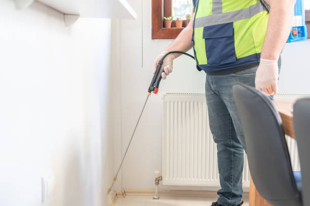 Best Affordable Pest Control Services  in Redwood City, CA