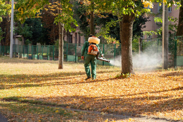 Best Pest Removal Services  in Redwood City, CA