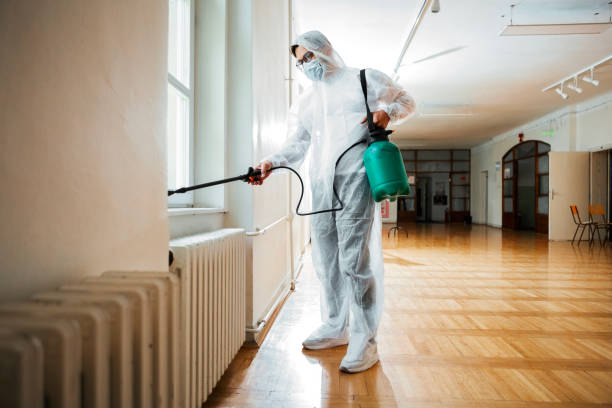 Best Pest Removal Services  in Redwood City, CA