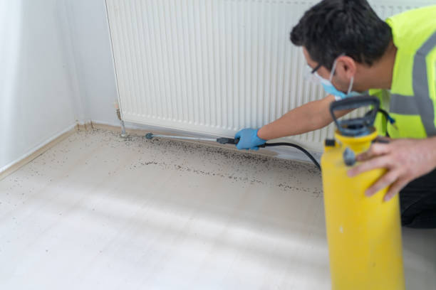 Professional Pest Control in Redwood City, CA